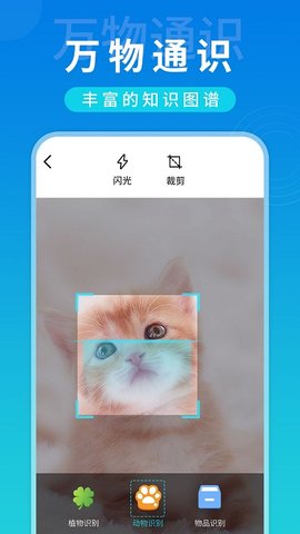 全局扫描  v1.0.4图1