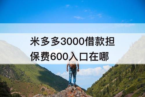 米多多3000借款担保费600入口在哪