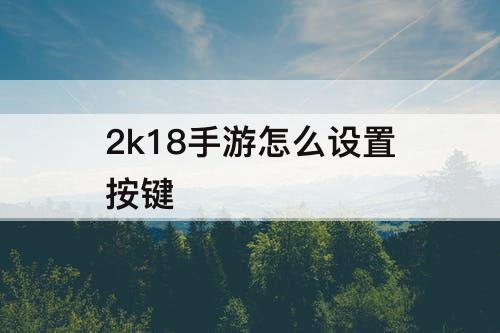 2k18手游怎么设置按键