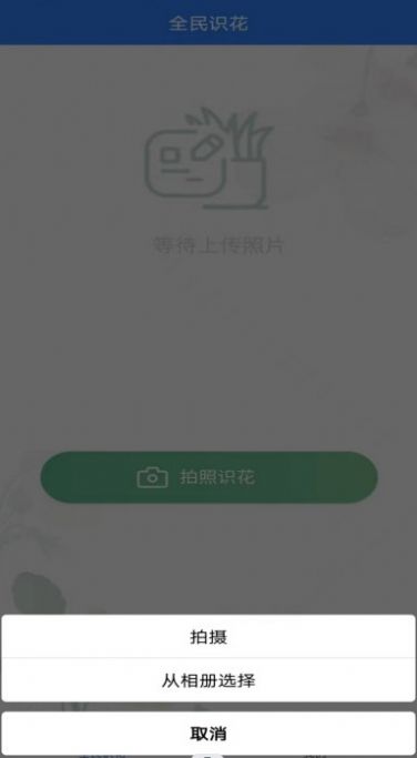 全民识花  v3.1图2