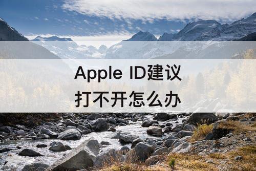 Apple ID建议打不开怎么办