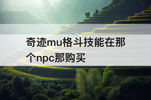 奇迹mu格斗技能在那个npc那购买