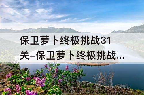 保卫萝卜终极挑战31关-保卫萝卜终极挑战31关攻略