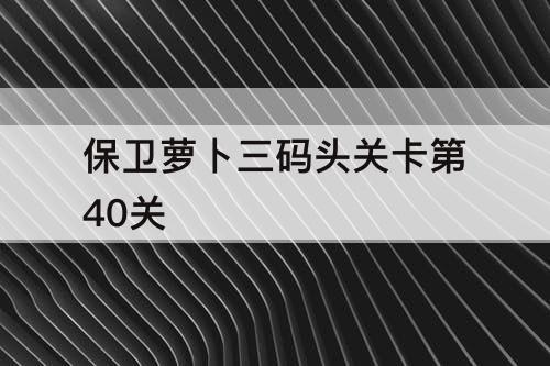 保卫萝卜三码头关卡第40关