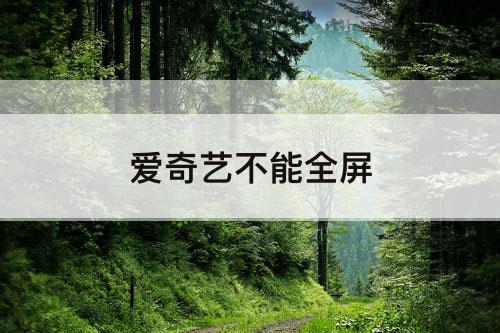 爱奇艺不能全屏