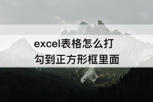 excel表格怎么打勾到正方形框里面
