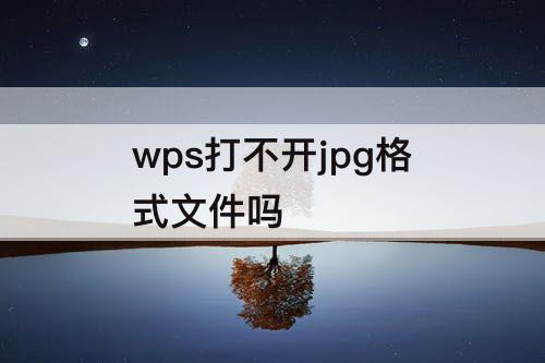 wps打不开jpg格式文件吗