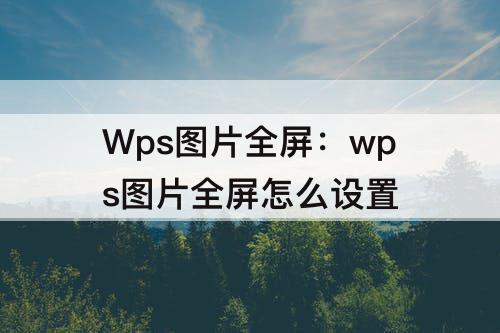 Wps图片全屏：wps图片全屏怎么设置
