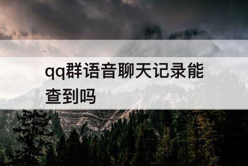 qq群语音聊天记录能查到吗