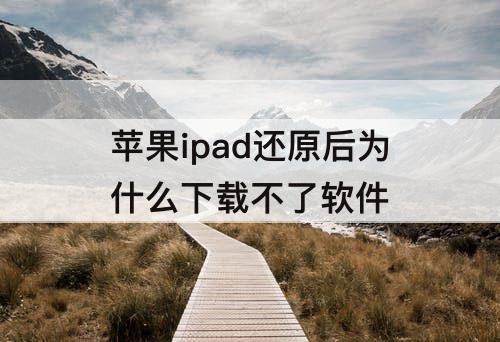 苹果ipad还原后为什么下载不了软件