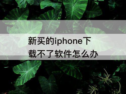 新买的iphone下载不了软件怎么办