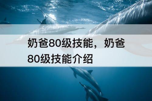 奶爸80级技能，奶爸80级技能介绍