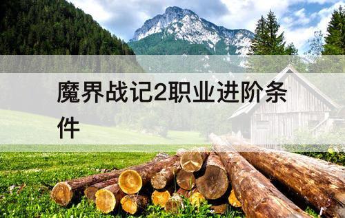 魔界战记2职业进阶条件