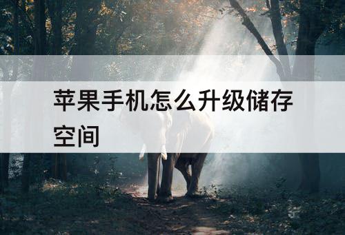 苹果手机怎么升级储存空间