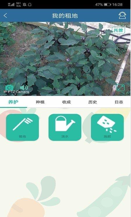 植信