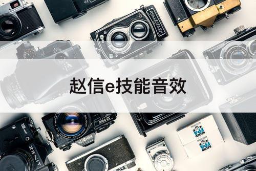 赵信e技能音效