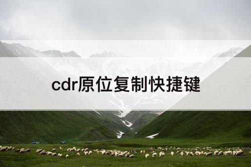 cdr原位复制快捷键