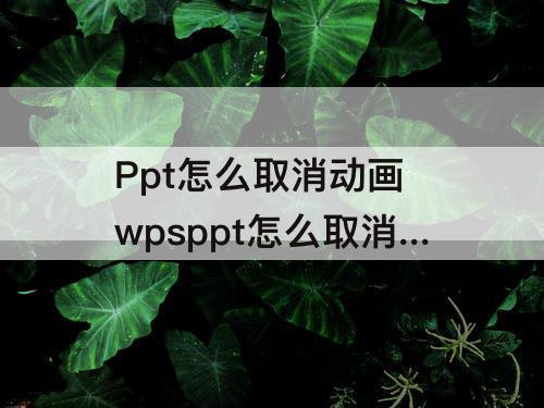 Ppt怎么取消动画 wpsppt怎么取消动画效果