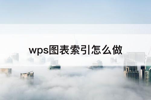 wps图表索引怎么做