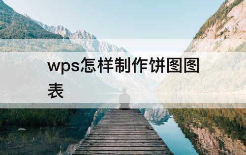 wps怎样制作饼图图表
