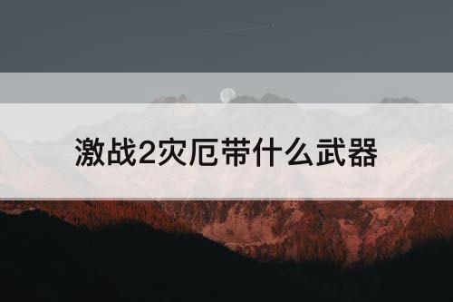 激战2灾厄带什么武器