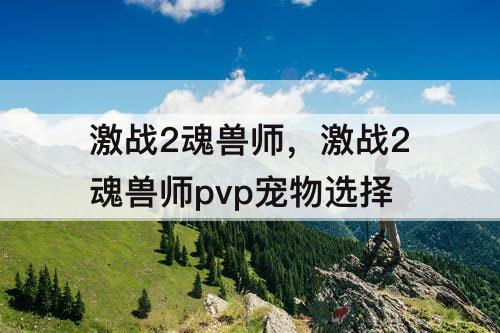 激战2魂兽师，激战2魂兽师pvp宠物选择