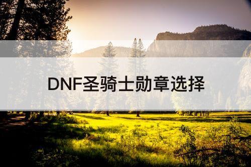 DNF圣骑士勋章选择