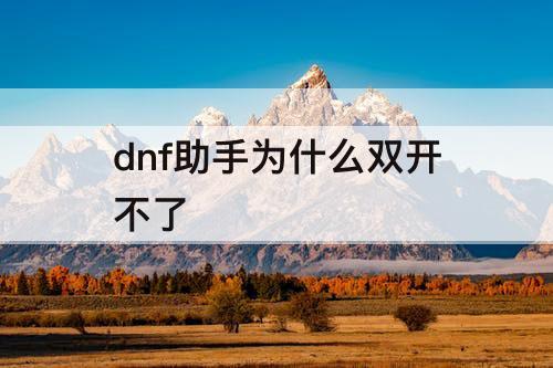 dnf助手为什么双开不了
