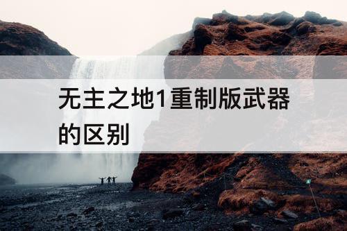 无主之地1重制版武器的区别