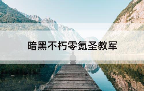 暗黑不朽零氪圣教军
