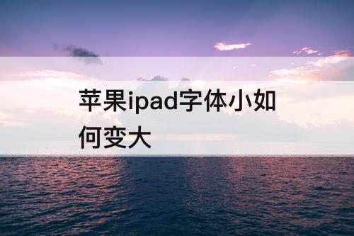 苹果ipad字体小如何变大