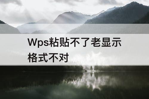 Wps粘贴不了老显示格式不对