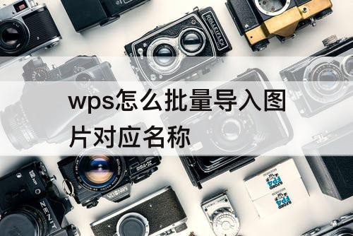 wps怎么批量导入图片对应名称