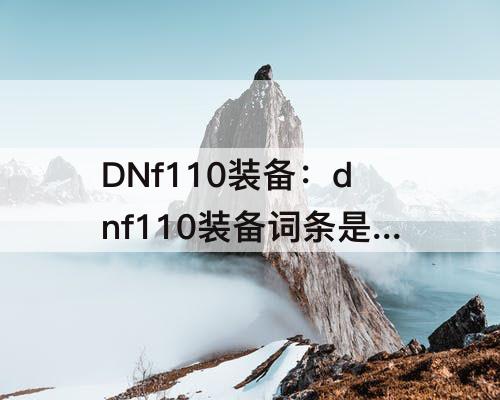 DNf110装备：dnf110装备词条是什么意思