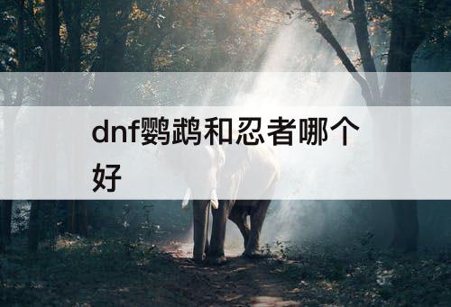 dnf鹦鹉和忍者哪个好