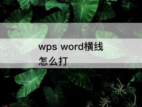 wps word横线怎么打