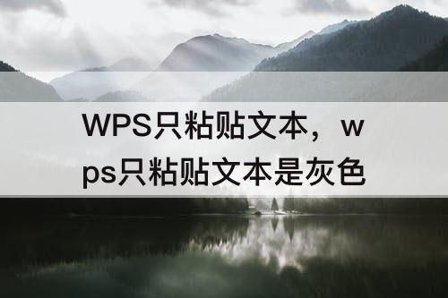 WPS只粘贴文本，wps只粘贴文本是灰色