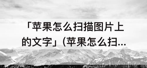 「苹果怎么扫描图片上的文字」(苹果怎么扫描图片上的文字变成可复制的文字)