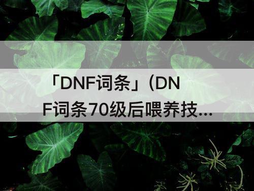 「DNF词条」(DNF词条70级后喂养技巧)
