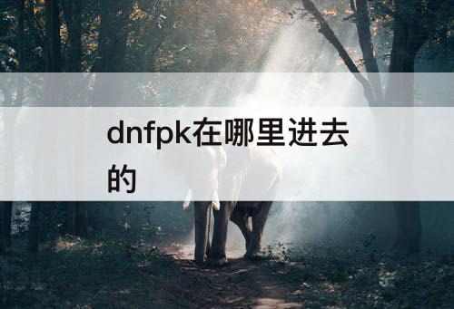 dnfpk在哪里进去的