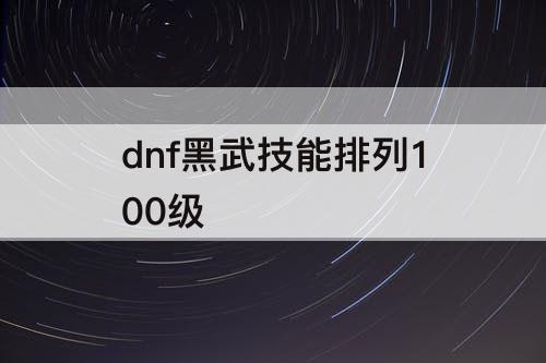 dnf黑武技能排列100级