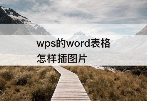wps的word表格怎样插图片