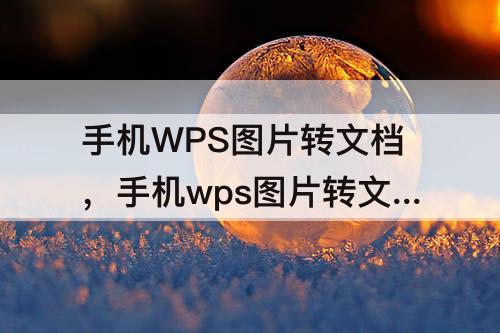 手机WPS图片转文档，手机wps图片转文档怎么弄
