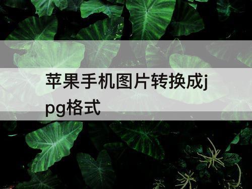 苹果手机图片转换成jpg格式
