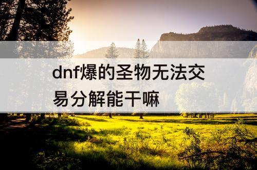 dnf爆的圣物无法交易分解能干嘛