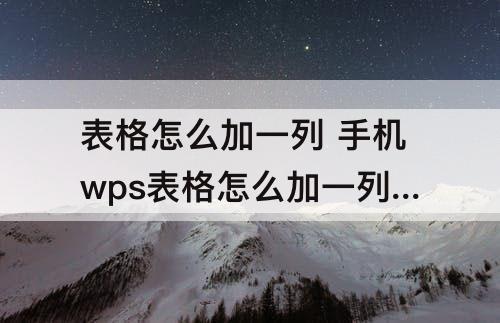 表格怎么加一列 手机wps表格怎么加一列表格