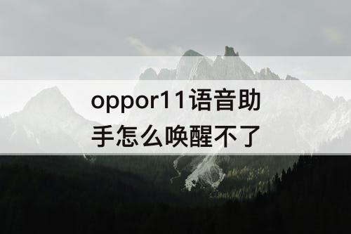 oppor11语音助手怎么唤醒不了