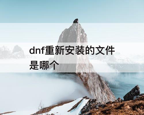 dnf重新安装的文件是哪个