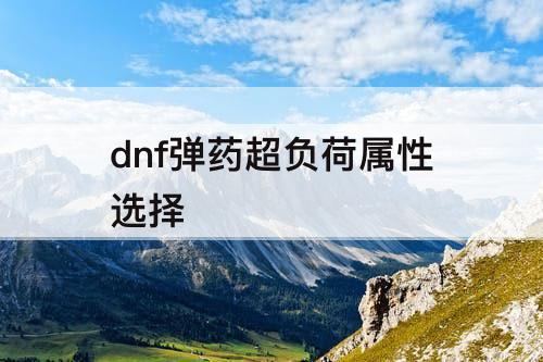 dnf弹药超负荷属性选择