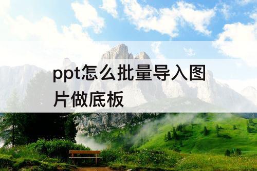 ppt怎么批量导入图片做底板